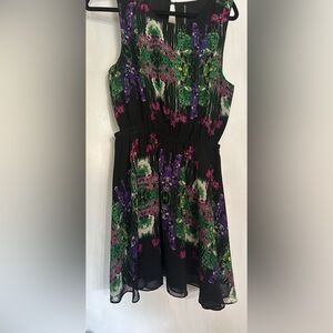 Walter Baker Beautiful Fit and Flair Dress